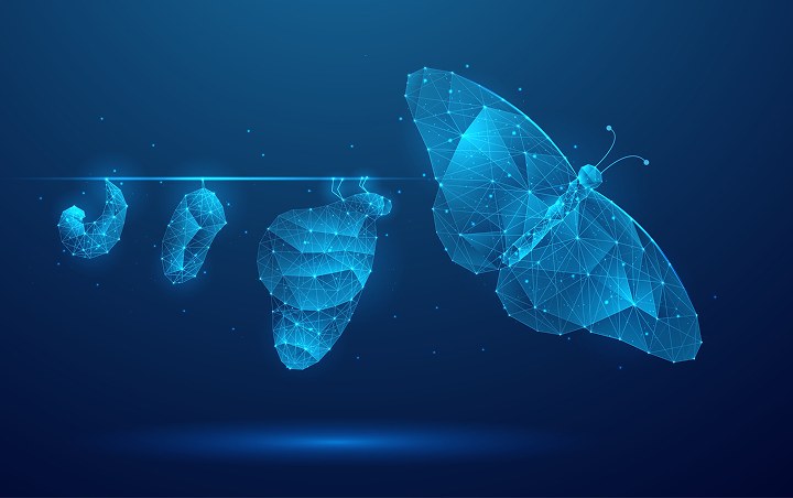 A glowing blue butterfly emerging from its chrysalis stages